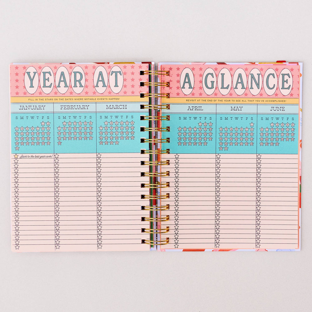 Medium 17-Month Academic Planner, Oil Paint Floral